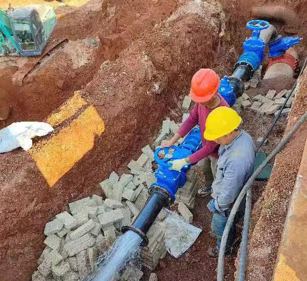 图片 1.png 图片 1.png