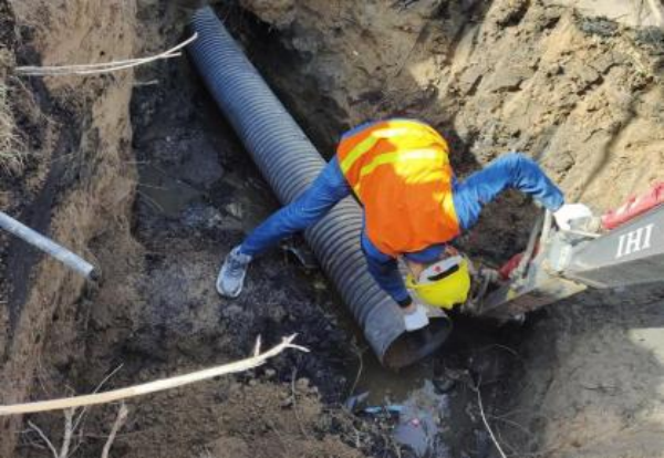 图片 2.png 图片 2.png