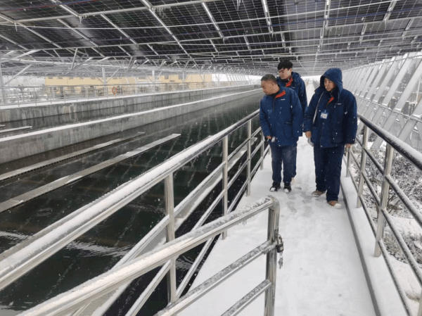 图片 1.png 图片 1.png