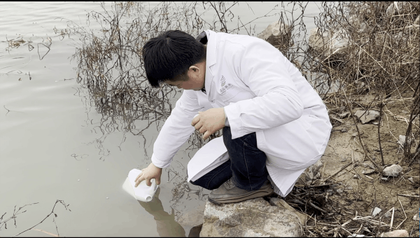 图片 8.png 图片 8.png