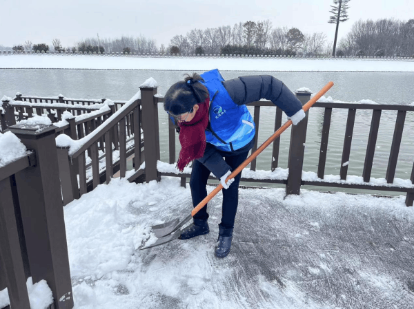 图片 3.png 图片 3.png