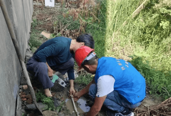 图片 10.png 图片 10.png