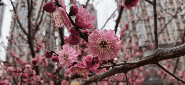 图片 3.png 图片 3.png