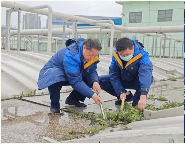 图片 11.png 图片 11.png