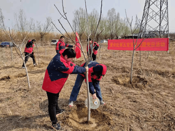 图片 4.png 图片 4.png