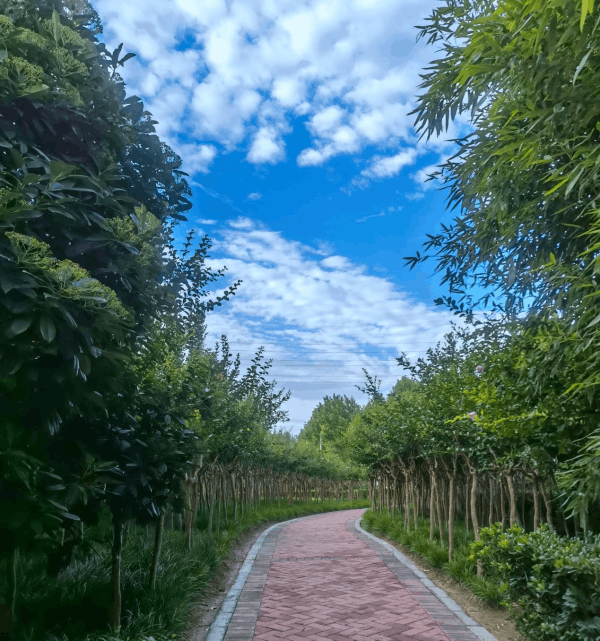 图片 4.png 图片 4.png