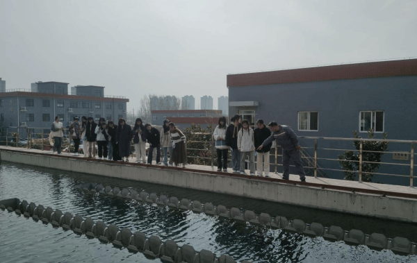 图片 3.png 图片 3.png