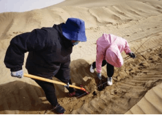 2024-04-09T03:50:28.png 2024-04-09T03:50:28.png