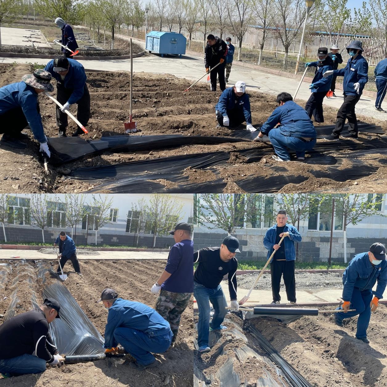 图片2.jpg 图片2.jpg