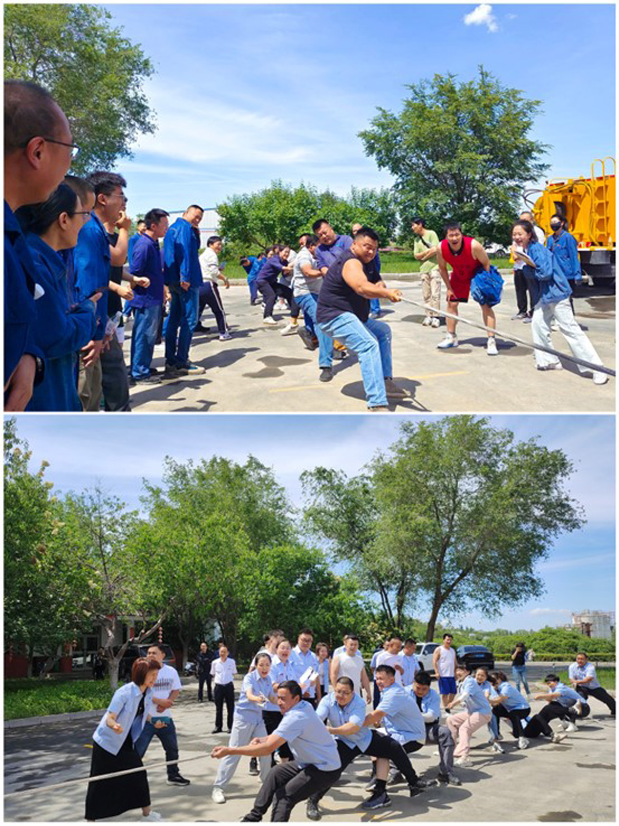 图片4.jpg 图片4.jpg