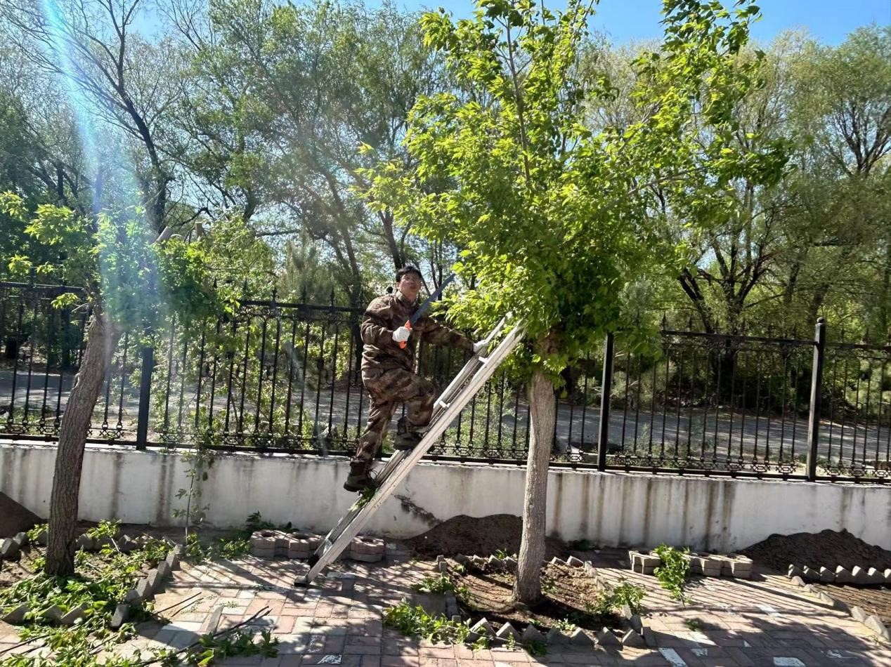 图片2.jpg 图片2.jpg