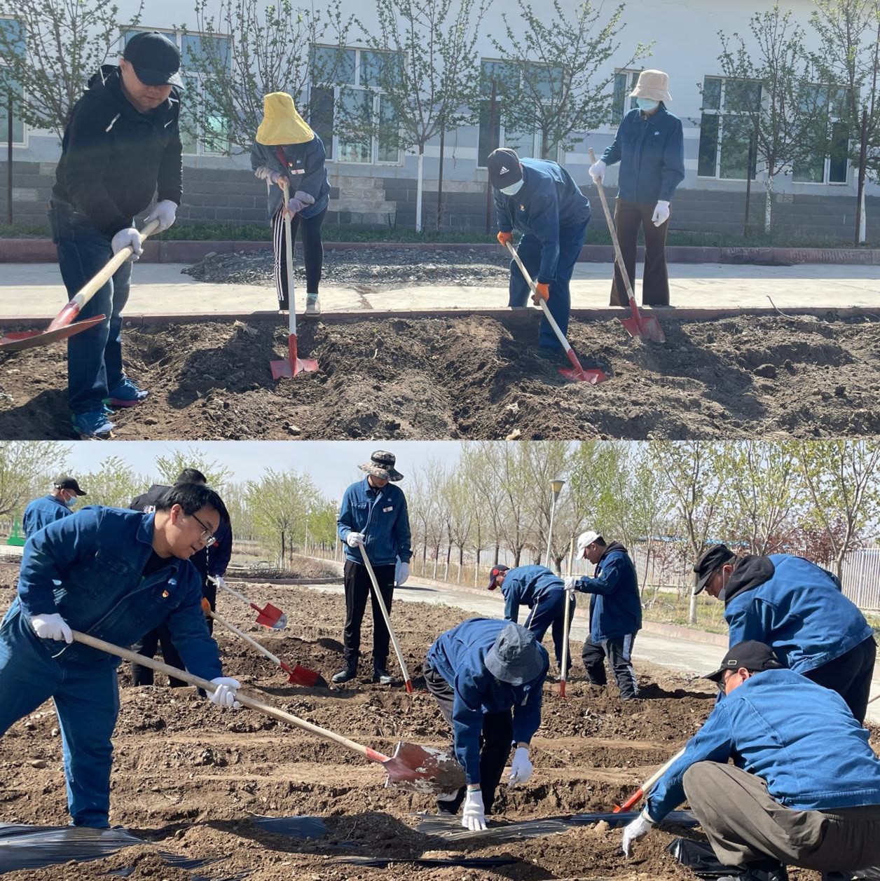 图片1.jpg 图片1.jpg