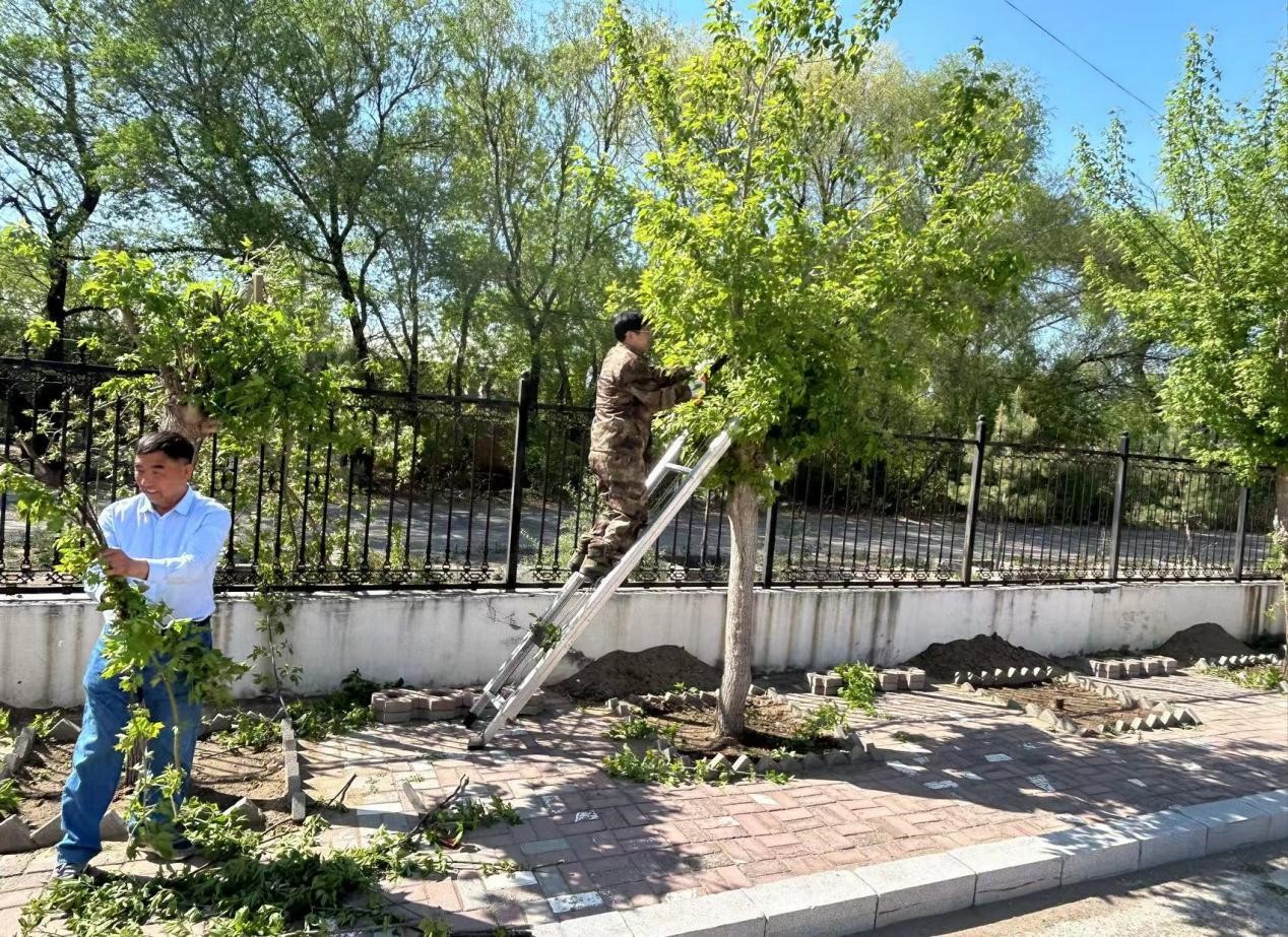 图片1.jpg 图片1.jpg