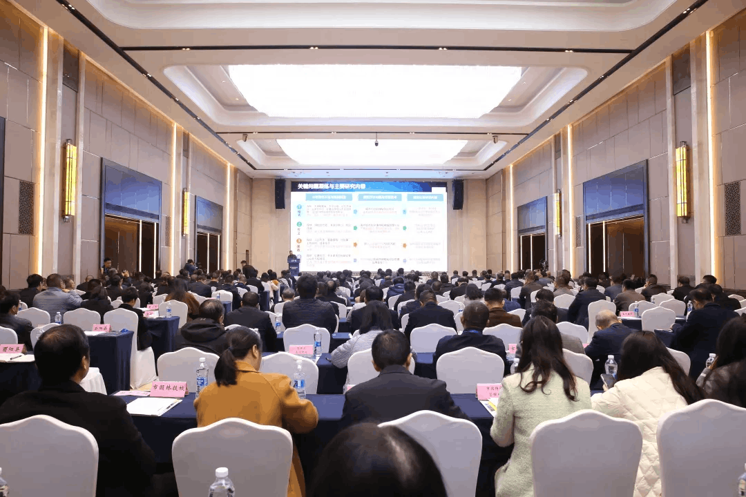 2024-12-12T02:36:09.png 2024-12-12T02:36:09.png