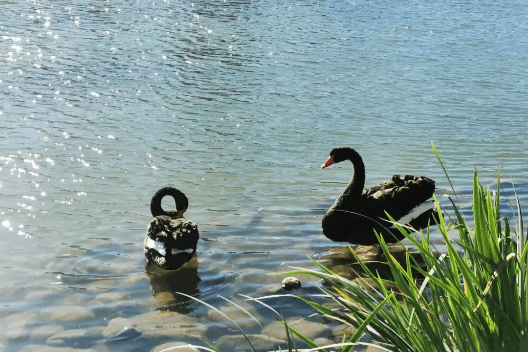 2024-12-14T06:37:25.png 2024-12-14T06:37:25.png