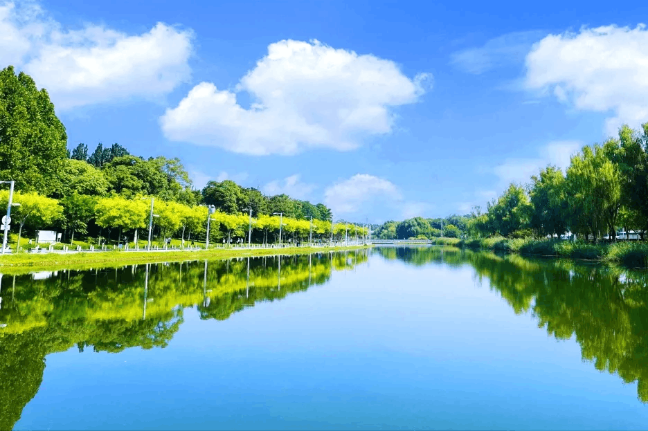 2024-12-14T06:37:51.png 2024-12-14T06:37:51.png