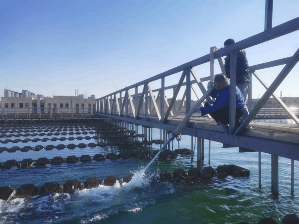 图片 4.png 图片 4.png