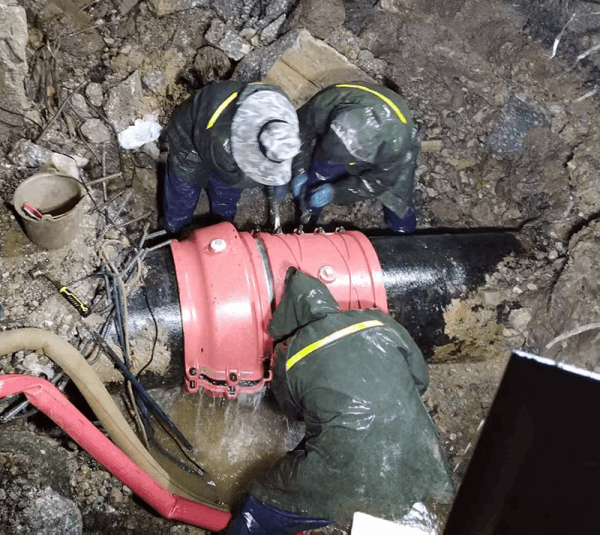 图片 1.png 图片 1.png