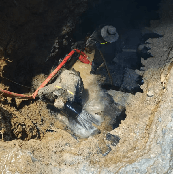 图片 2.png 图片 2.png