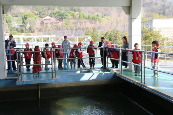 图片 11.png 图片 11.png