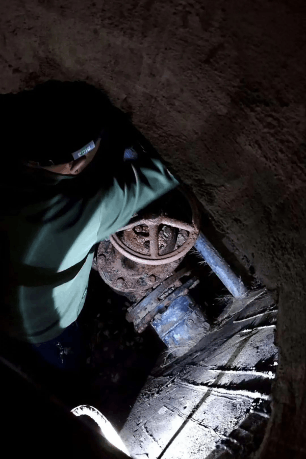 图片 10.png 图片 10.png