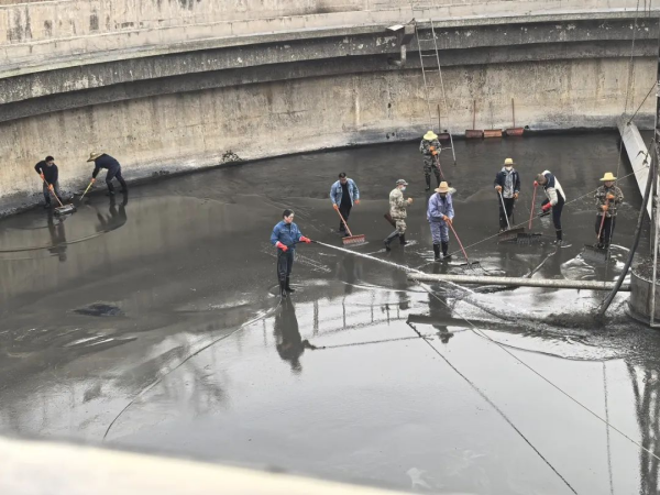 图片 9.png 图片 9.png