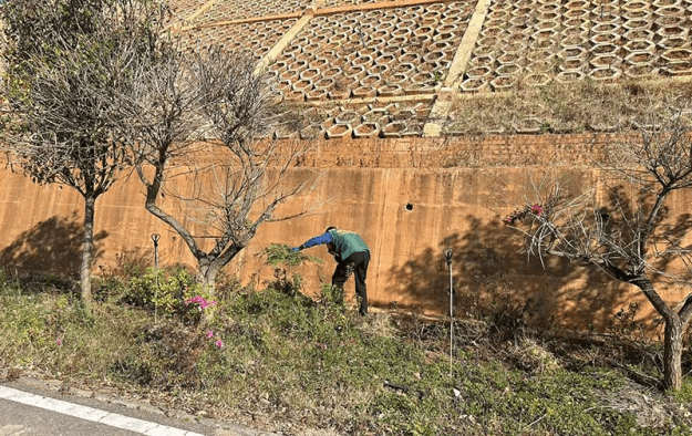 2025-03-31T02:14:37.png 2025-03-31T02:14:37.png