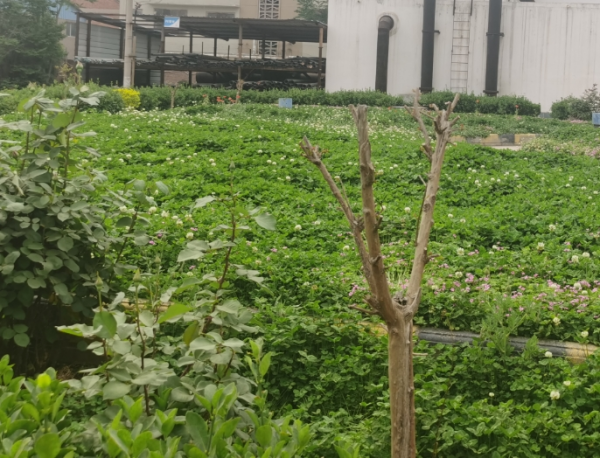 图片 4.png 图片 4.png