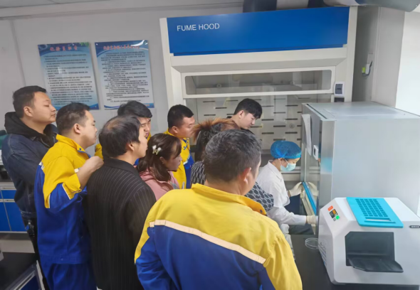 2025-04-30T09:24:20.png 2025-04-30T09:24:20.png