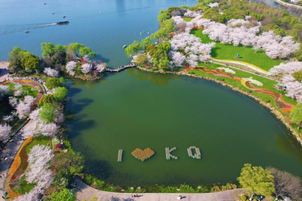 图片 10.png 图片 10.png