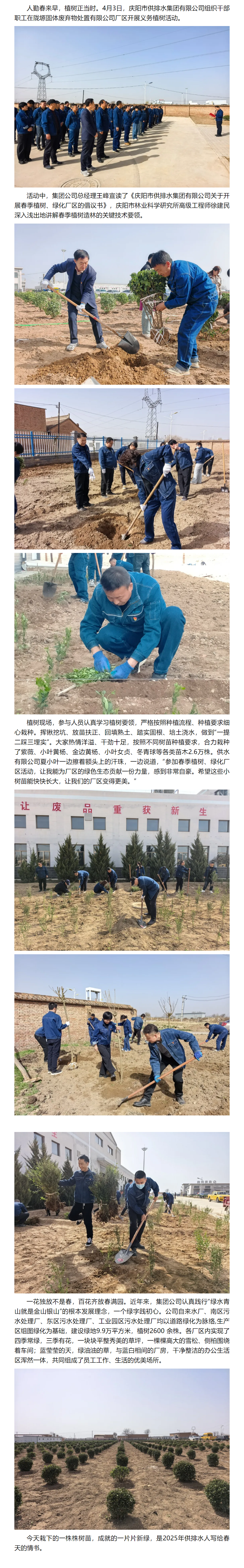 写给春天的情书.png 写给春天的情书.png