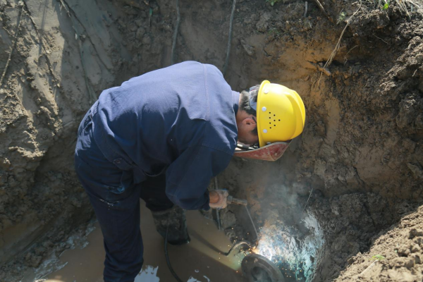 图片 8.png 图片 8.png