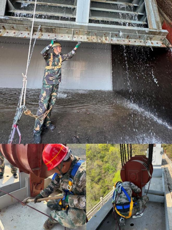 图片 1.png 图片 1.png