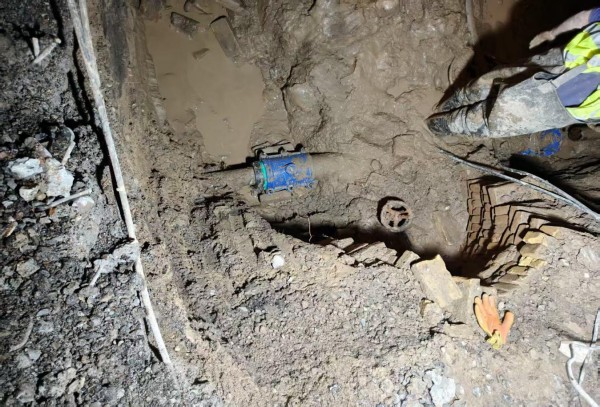 图片 4.jpg 图片 4.jpg