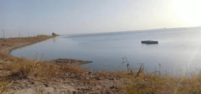 图片 3.png 图片 3.png