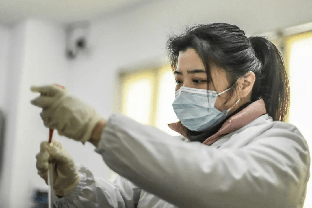 2023-11-22T13:25:23.png 2023-11-22T13:25:23.png