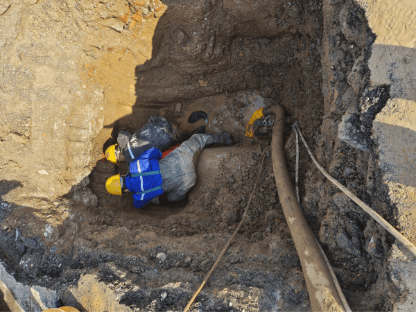 图片 4.png 图片 4.png