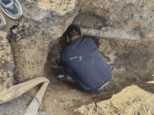 图片 2.png 图片 2.png