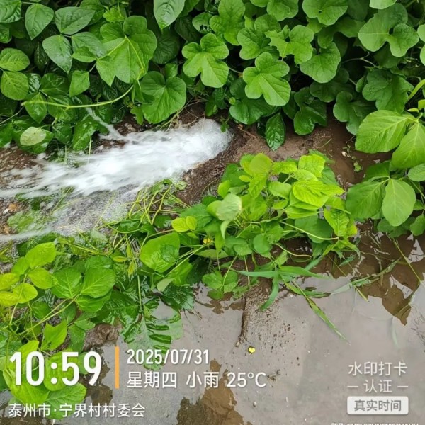 图片 5.jpg